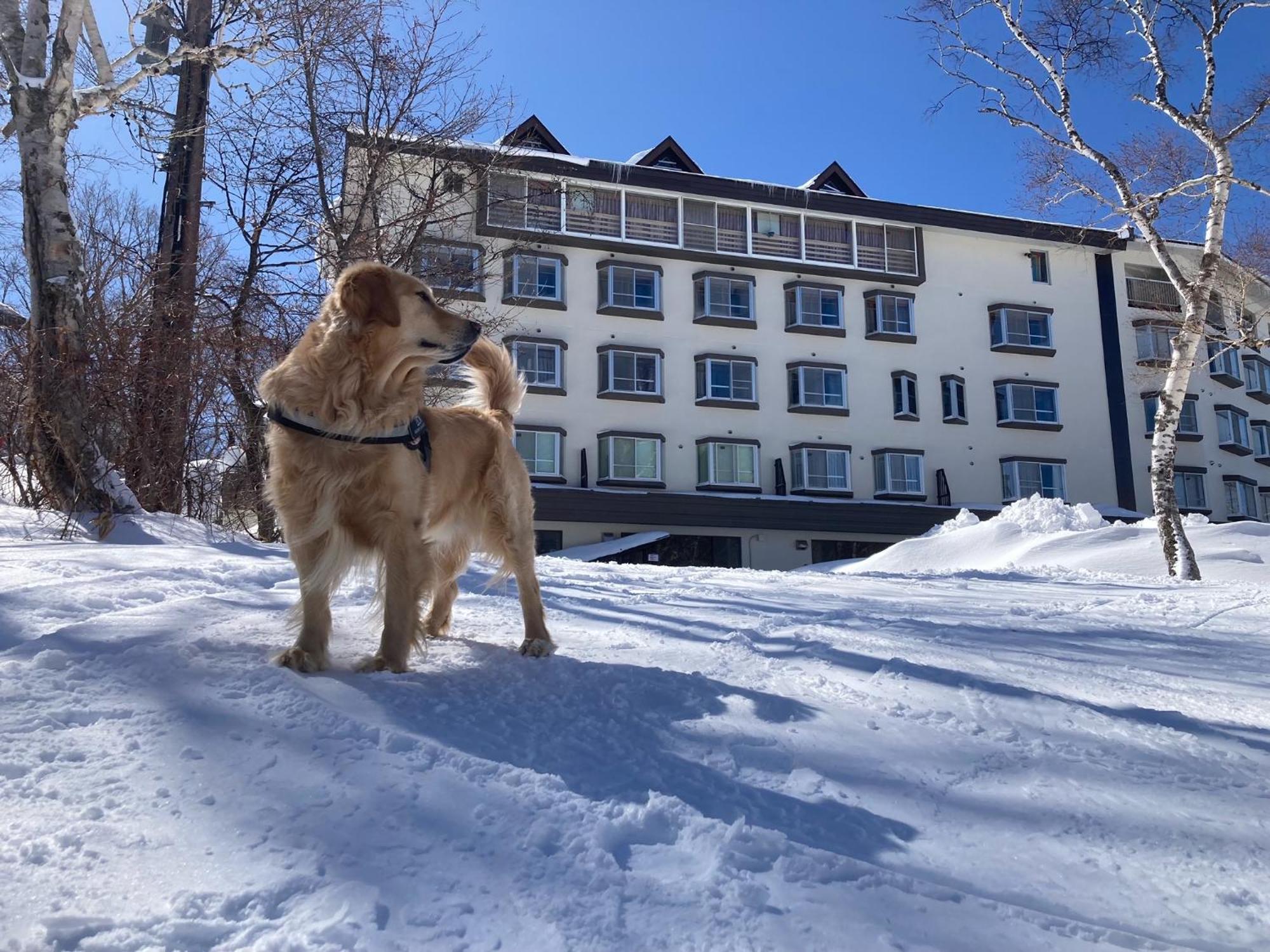 Shiga Lake Hotel Yamanouchi  Extérieur photo